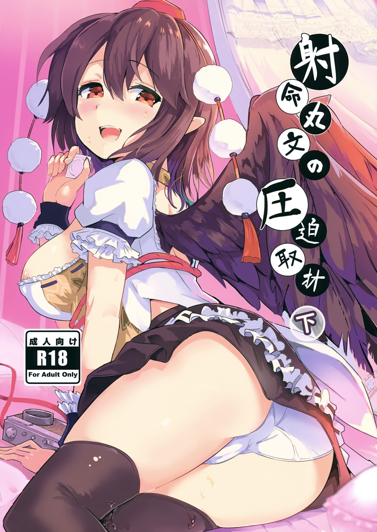 Shameimaru Aya no Appaku Shuzai Ge page 1 full