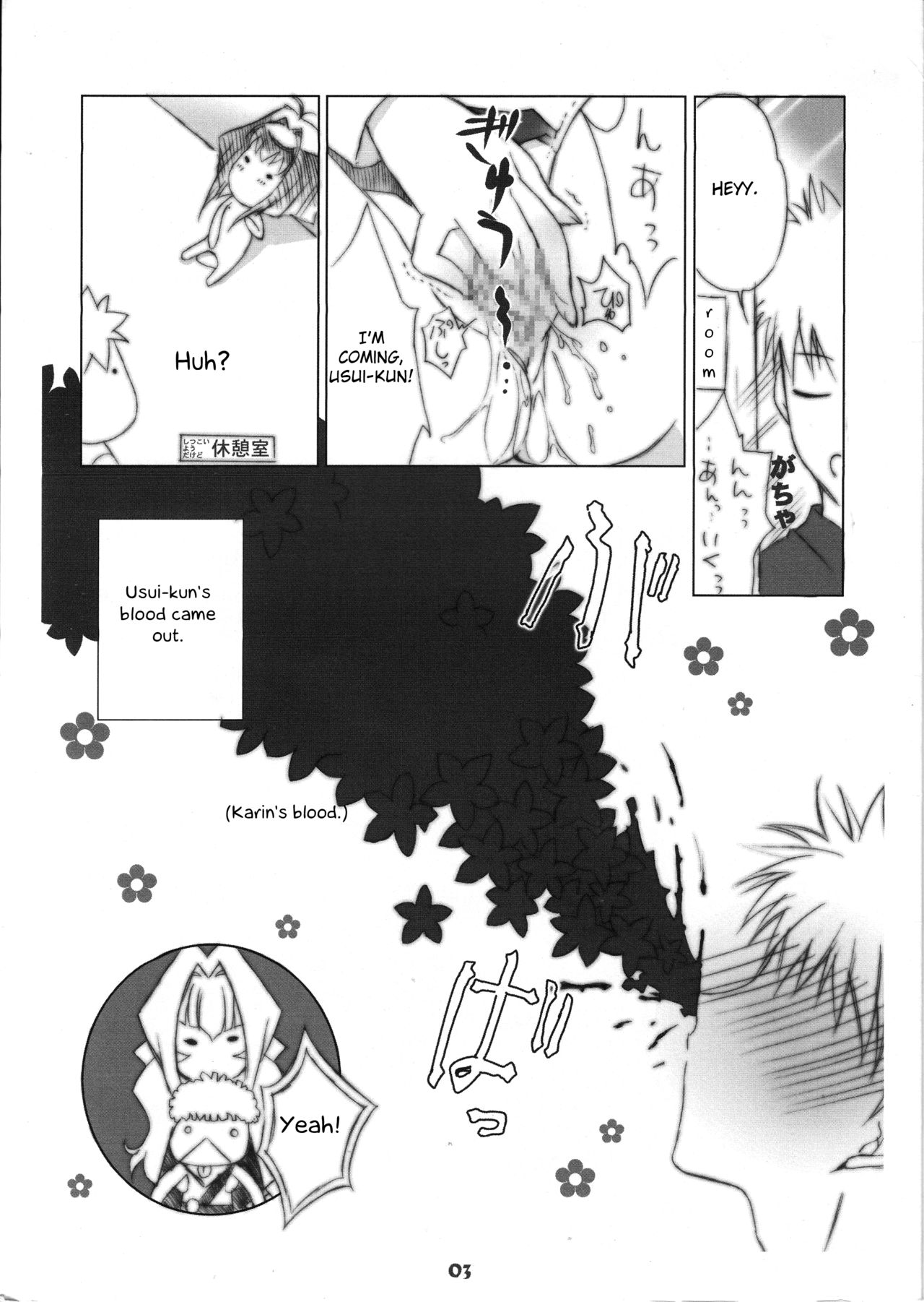 Chinese Quince page 3 full