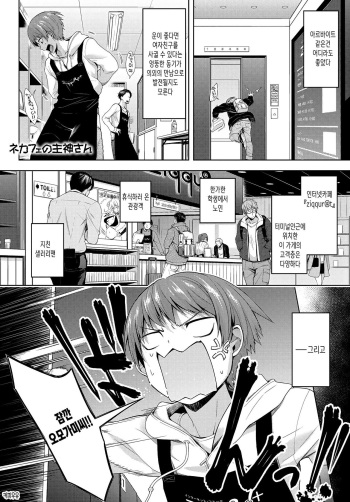 Nekafe no Omogami-San cover