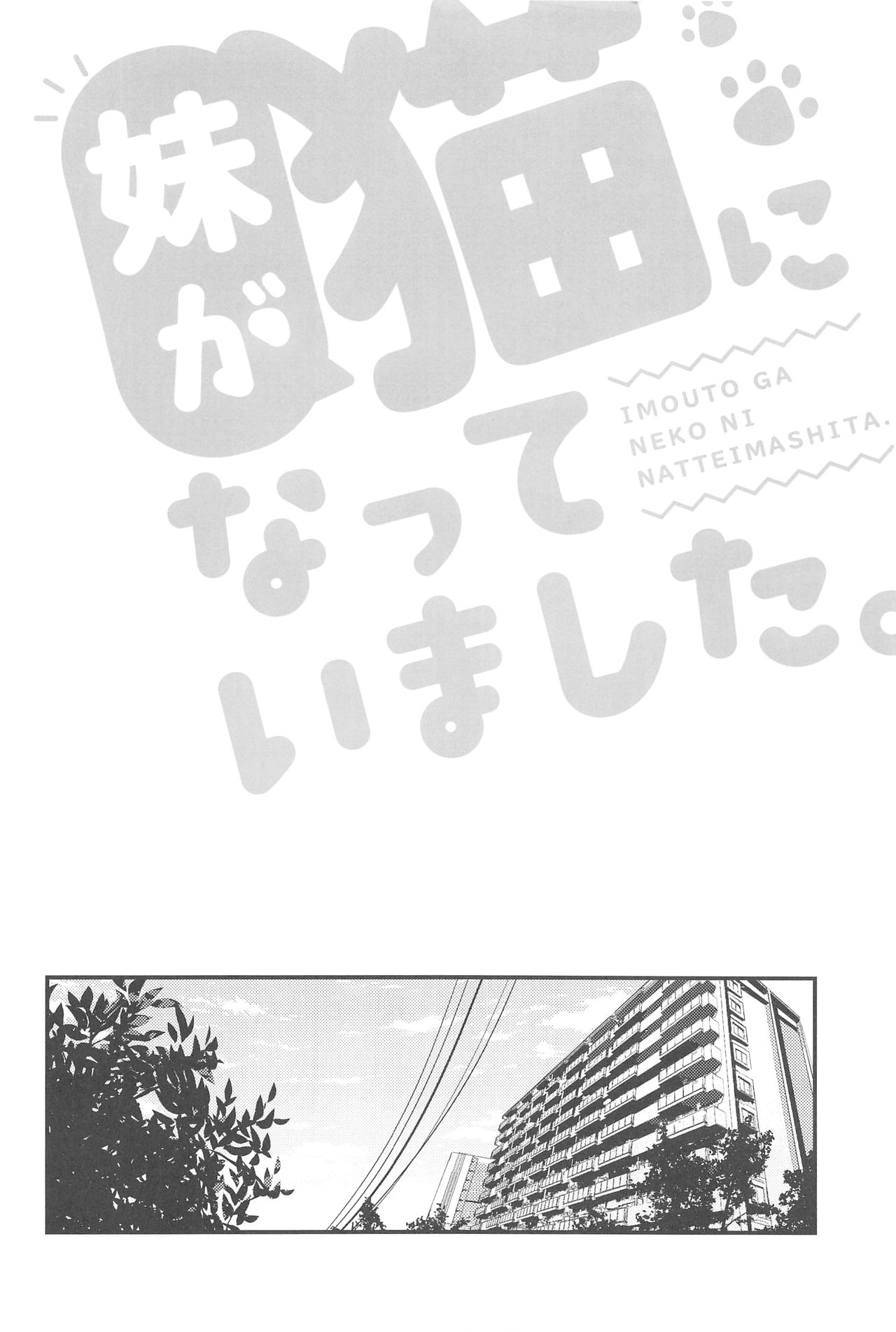 Imouto ga Neko ni Natteimashita. | 여동생이 고양이가 되었습니다. page 4 full