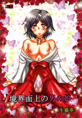 Kyoukai Menjou no Otoko no Musume cover
