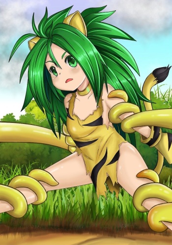 Tiger Tamer cover