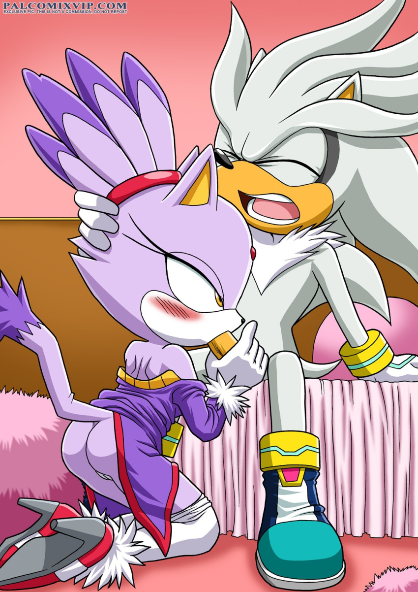 Mobius Unleashed: Silvaze page 2 full