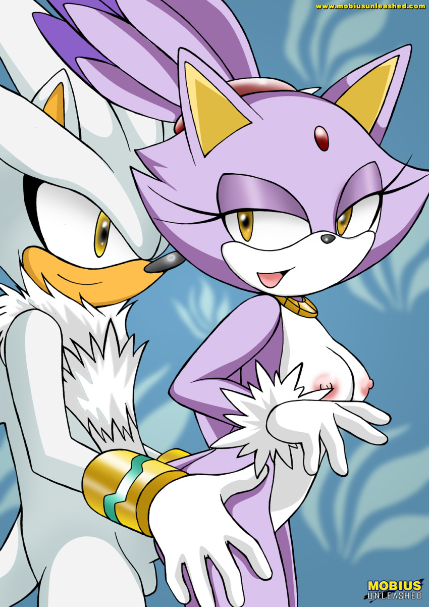 Mobius Unleashed: Silvaze page 4 full