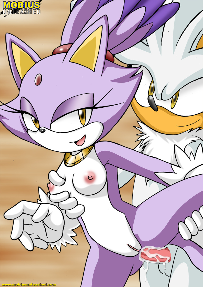 Mobius Unleashed: Silvaze page 5 full