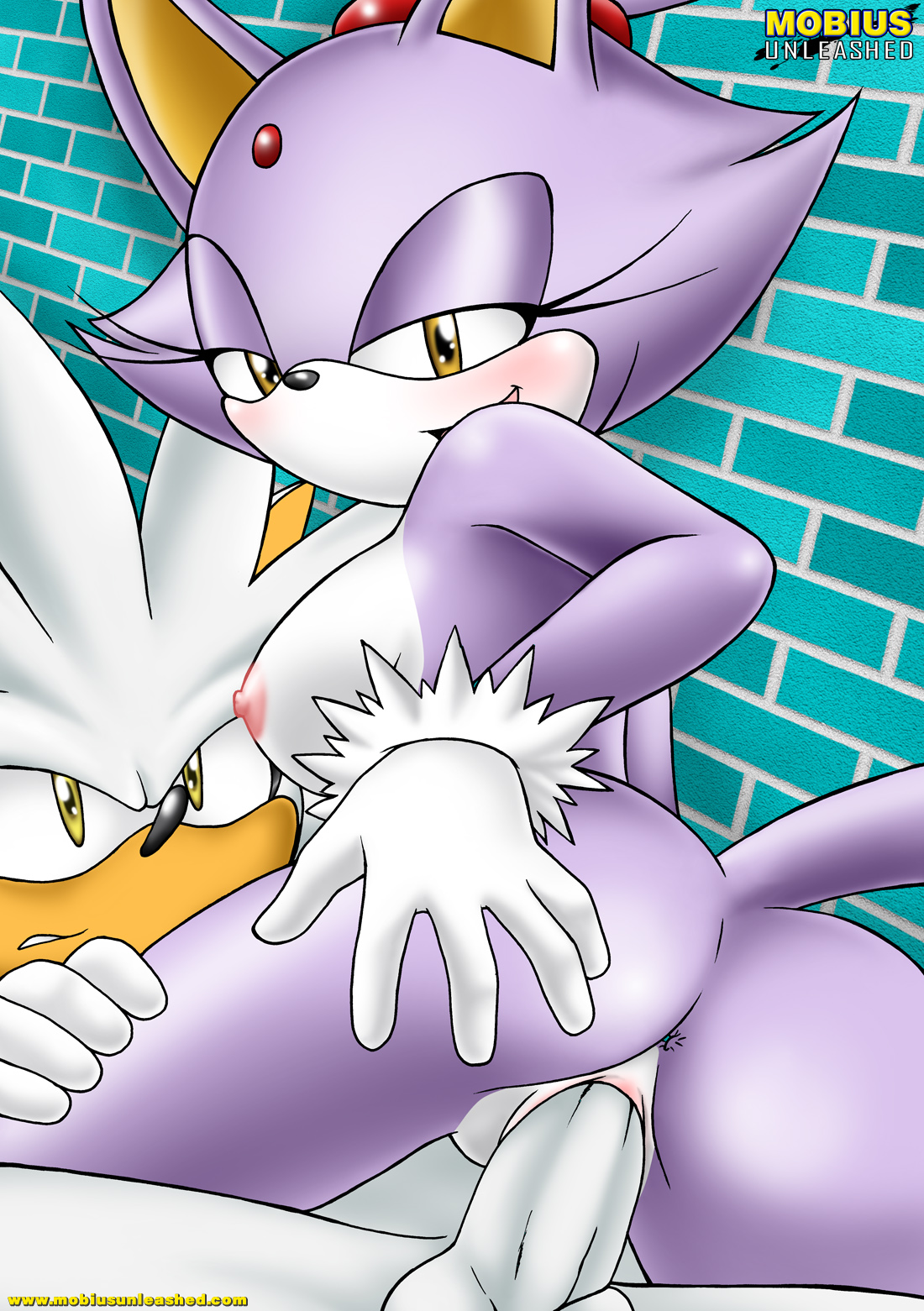 Mobius Unleashed: Silvaze page 7 full