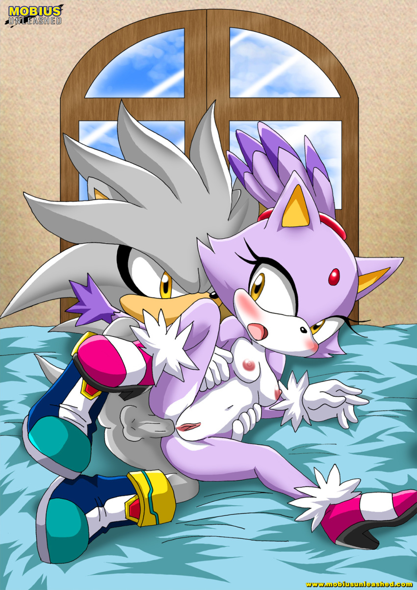 Mobius Unleashed: Silvaze page 8 full