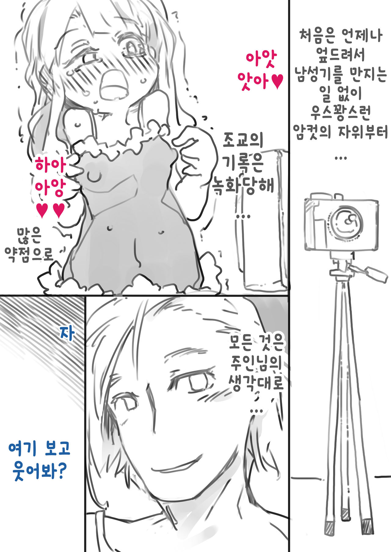 Chouki Kankin Mesu-ka Choukyou | 장기감금암컷화조교 page 5 full