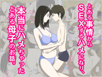 Toaru Jijou kara SEX Suru Hame ni Nari, Hontou ni Hamechatta Toaru Boshi no Ohanashi. cover