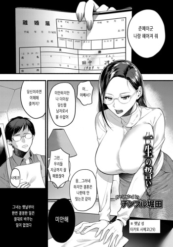 Isshou no Chikai cover