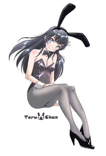 Teruchan cover