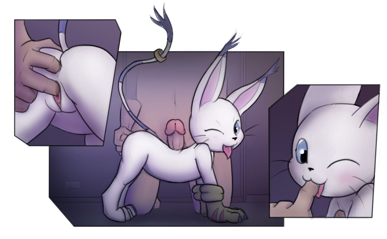 Gatosutra page 8 full