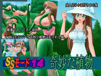 SS Mode 14 cover