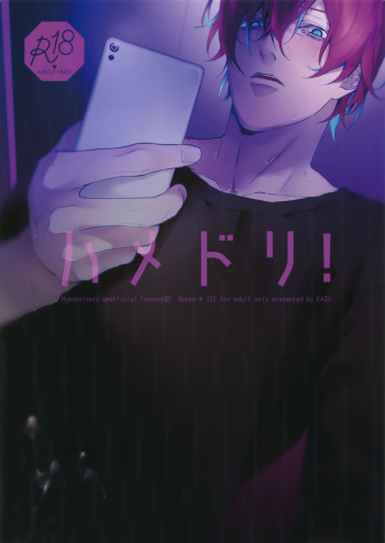 Hamedori! cover