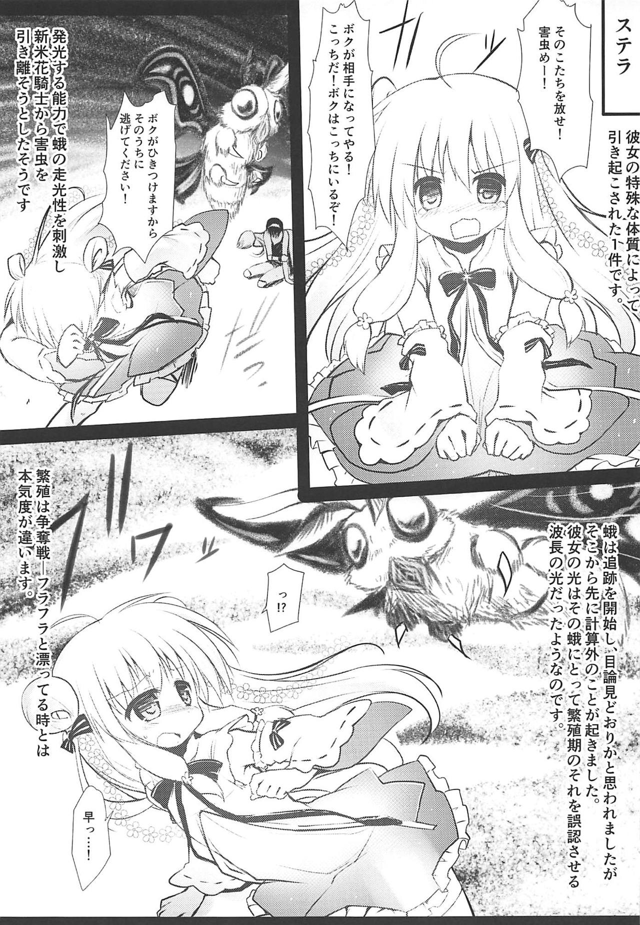 Gaichuu Higai Houkokusho File 3 page 4 full