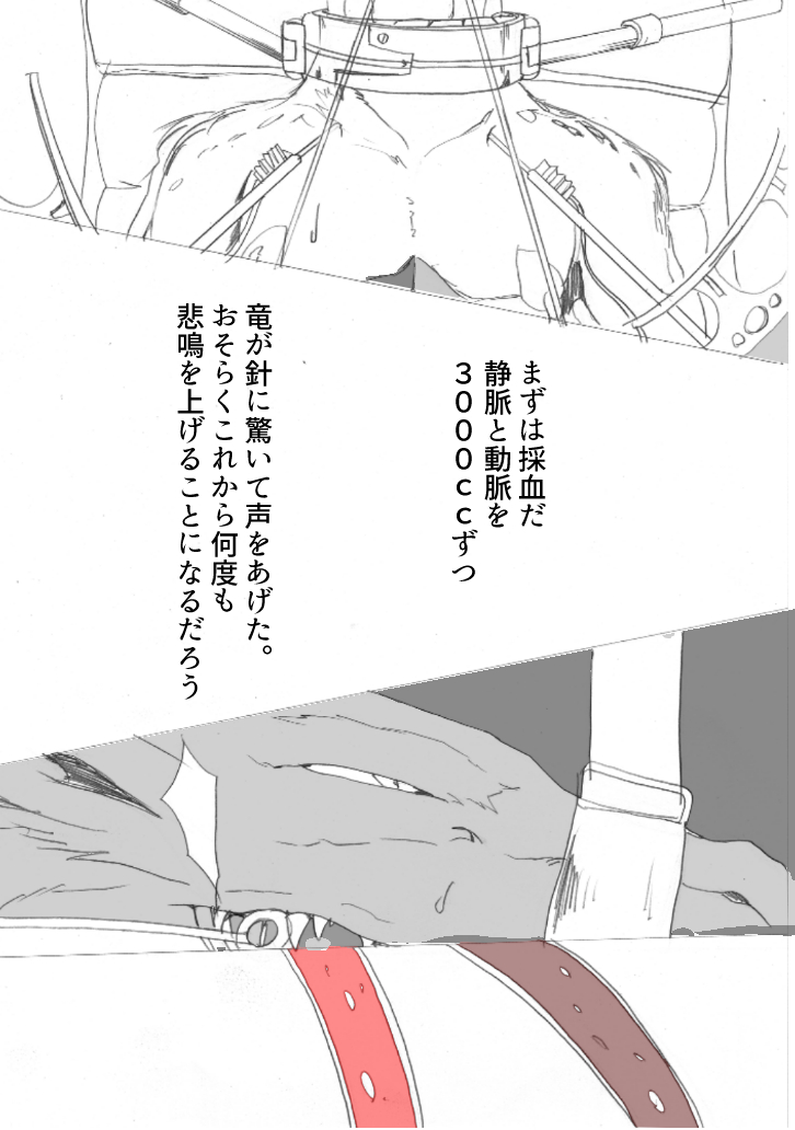 ryuu zoku no hokaku ni seikou page 10 full