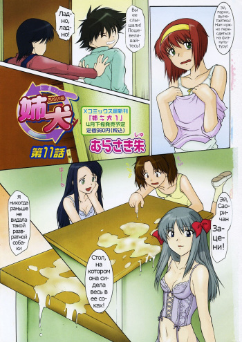 Ane Inu Ch. 11 cover