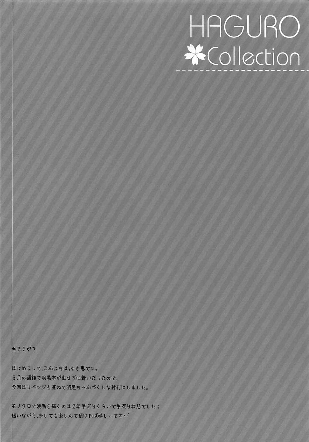 HAGURO Collection page 3 full