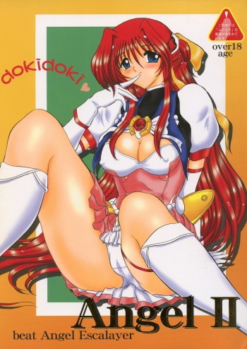 dokidoki Angel II cover