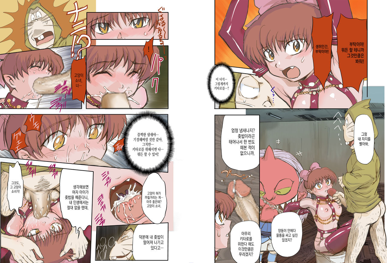 Anal Cat page 7 full