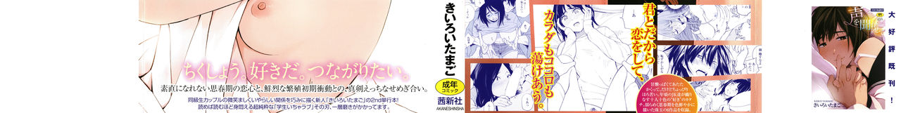 Shishunki no Eros - puberty eros | 사춘기의 에로스 page 2 full