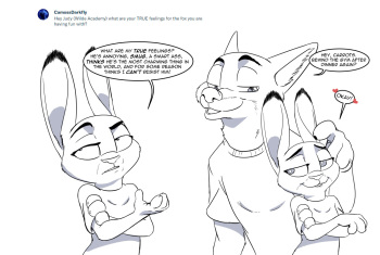 Patreon Q&amp;A cover