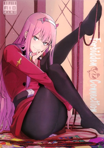 Forbidden Connection cover