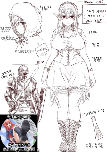 Elf Princess Strikes Back cover