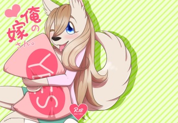 Ore no Yome-san. cover