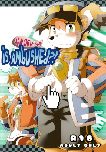 Mamoru-kun has Been Ambushed!? cover