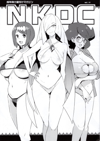 NKDC Vol. 11 cover
