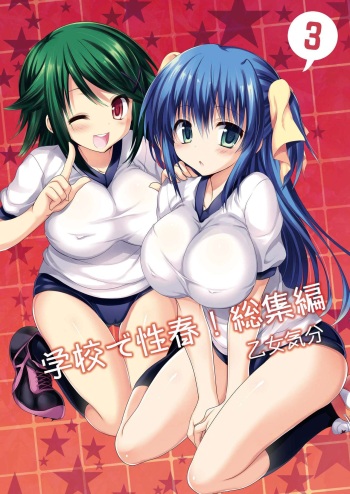 Gakkou de Seishun! Soushuuhen 3 cover