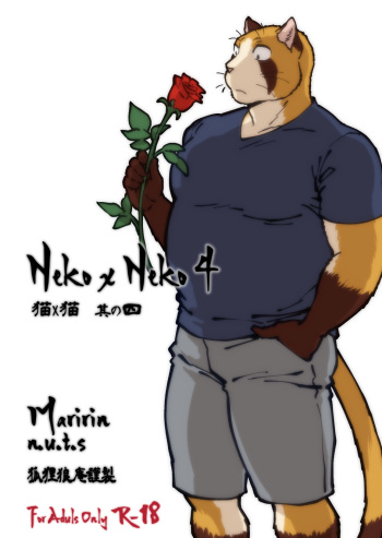 Neko x Neko 4 cover