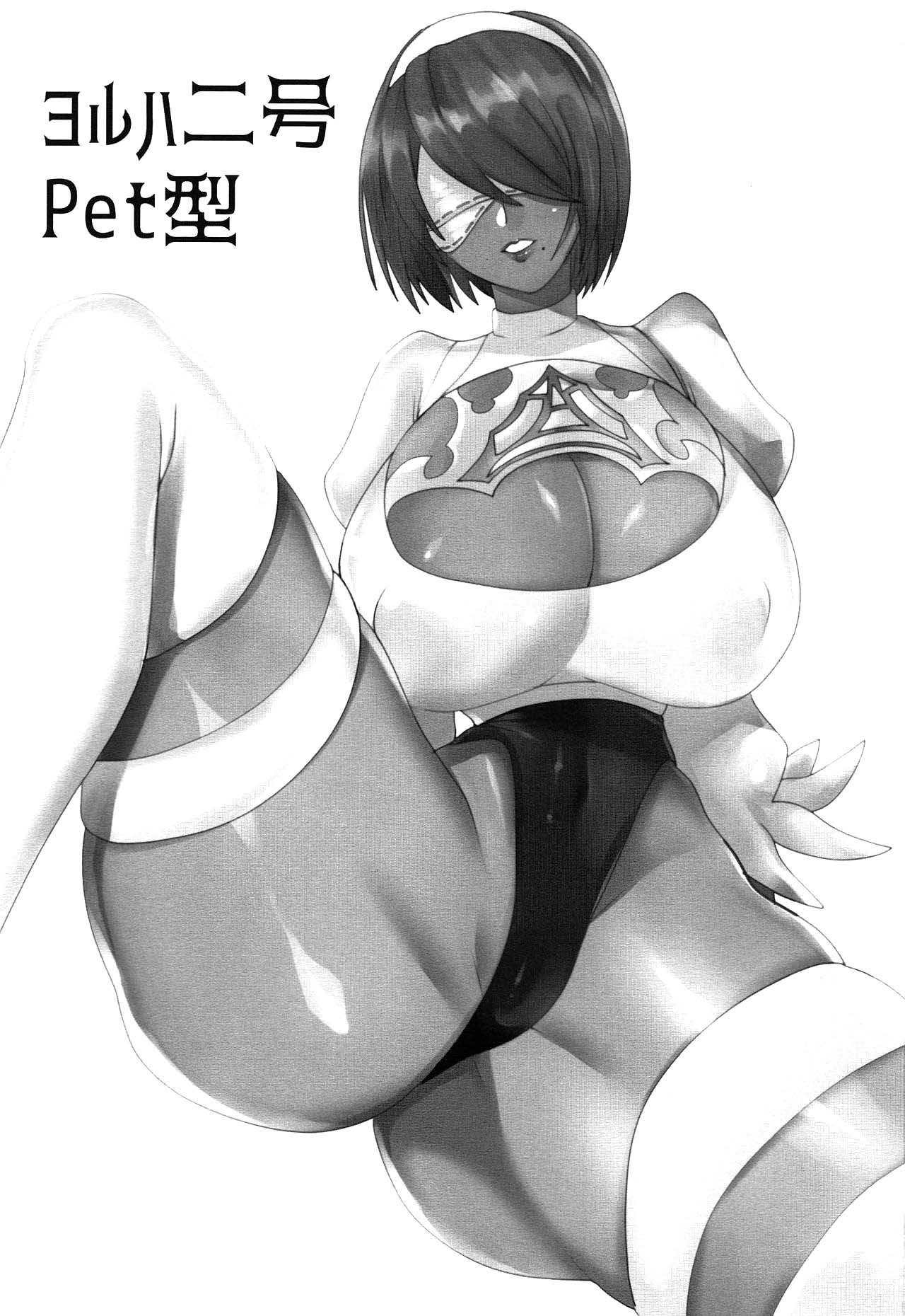 YoRHa Nigou Pet-gata | YoRHa Number 2 Pet Model page 2 full