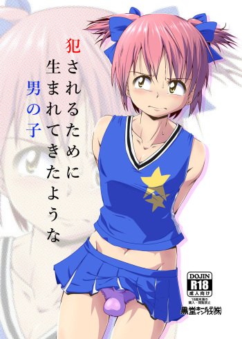 Okasareru Tame ni Umarete Kita Youna Otokonoko cover
