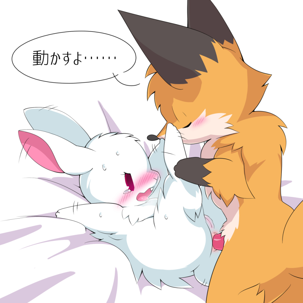 Artist - Konza page 4 full