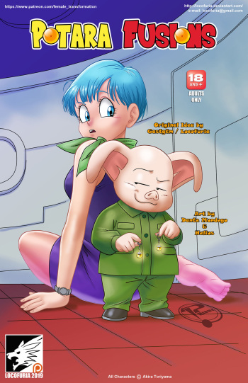Potara Fusions cover