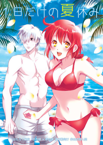 1-Nichi dake no natsuyasumi sample cover