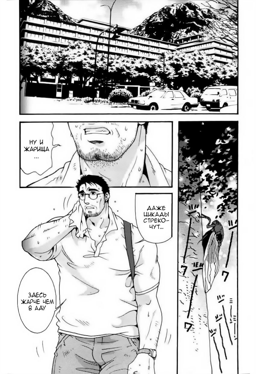Semi - Cicada page 2 full