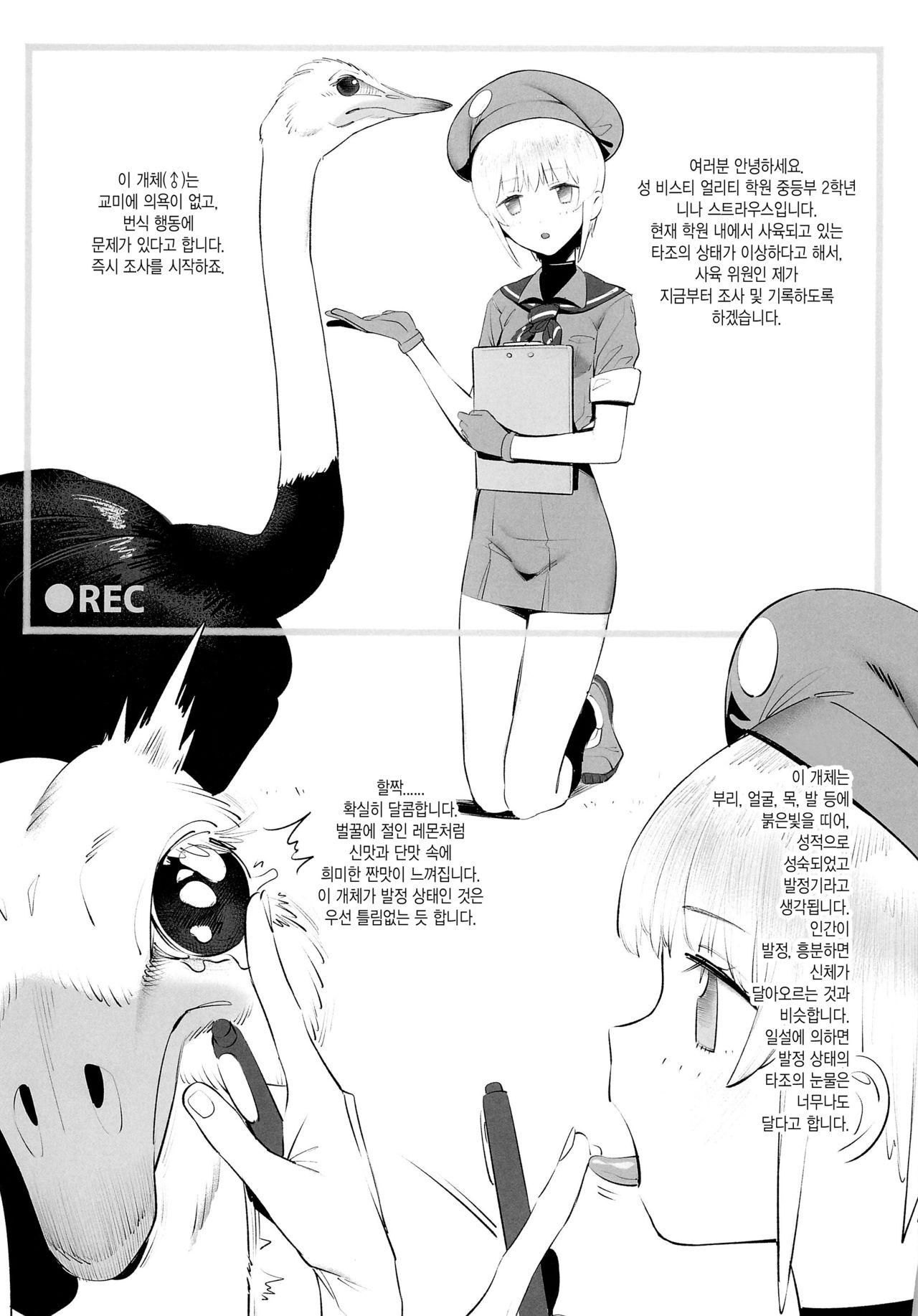 Tori no Kimochi Ii | 새 자지 기분 좋아 page 4 full