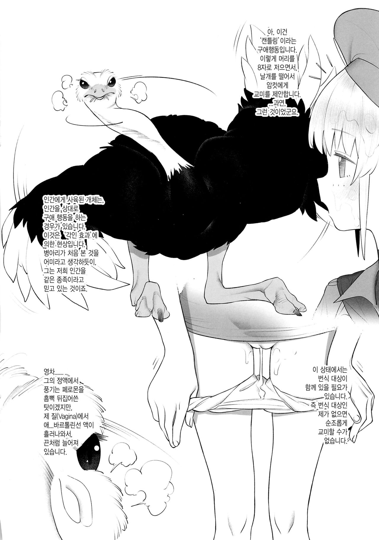 Tori no Kimochi Ii | 새 자지 기분 좋아 page 9 full