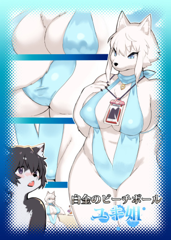 Summer Encounter "Y" cover
