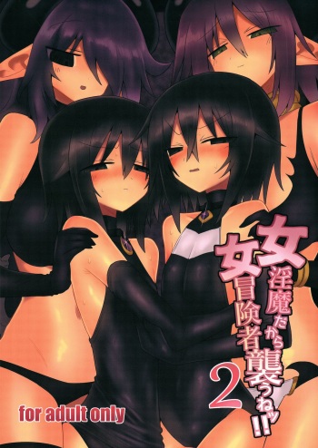 Onna Inma dakara Onna Boukensha Osou ne!! 2 cover