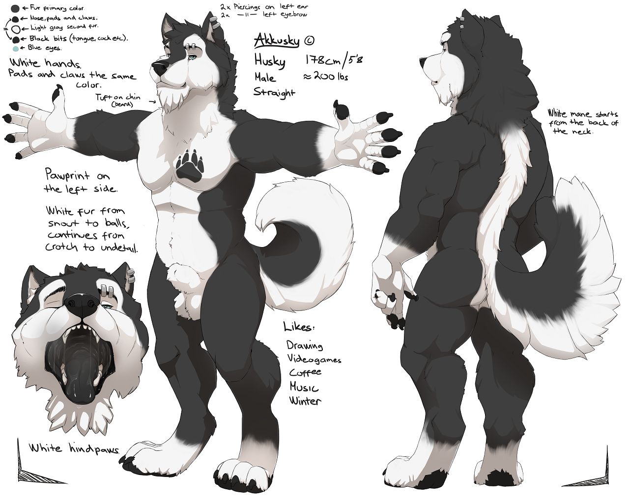 ARTIST Akkusky page 7 full