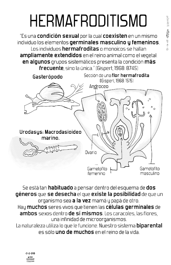 Introducción_a_los_estudios_en_equidad_y_género_03_Homosexualidad page 4 full