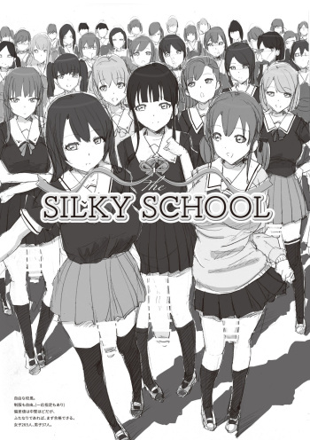 The SILKY SCHOOL cover