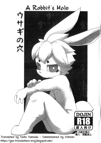 Usagi No Ana cover