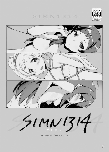 SIMN1314 cover