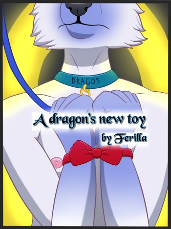 A Dragon's New Toy cover