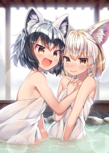 アライグマ＆フェネック cover